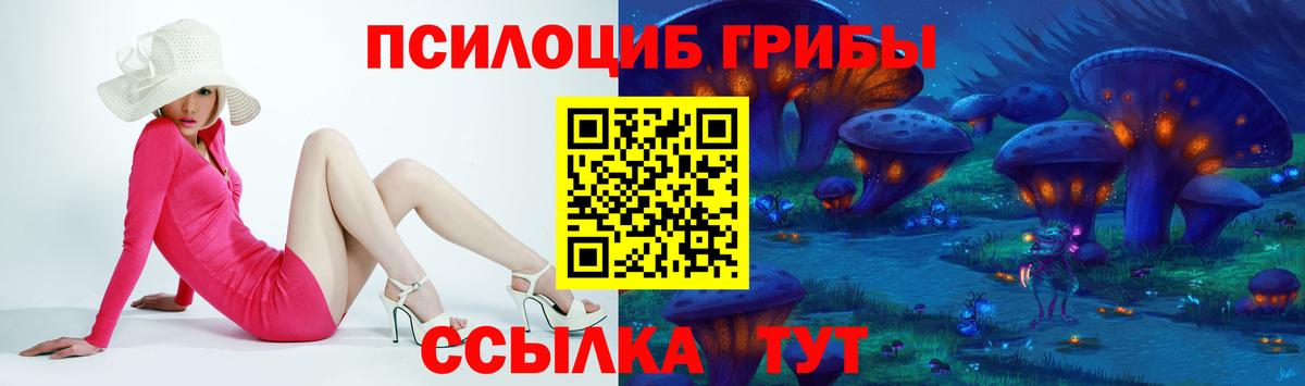 Волжск  Галлюциногенные грибы ЛСД  Вход с VPN 